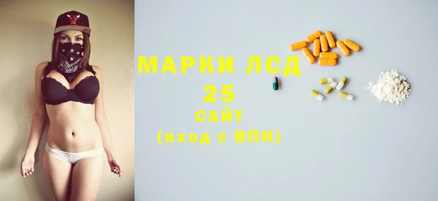 спиды Аркадак