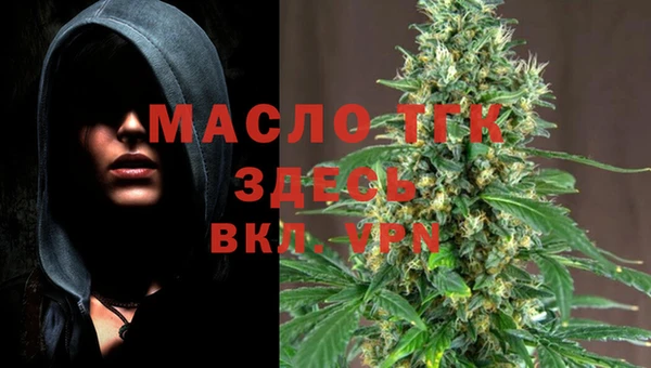 спиды Аркадак