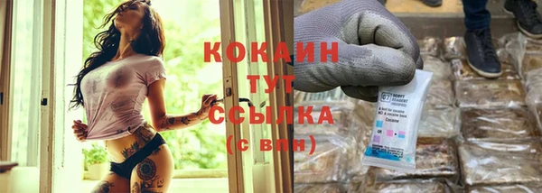 спиды Аркадак