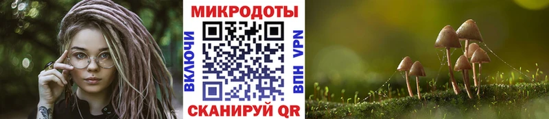 наркошоп  Райчихинск  Псилоцибиновые грибы прущие грибы 